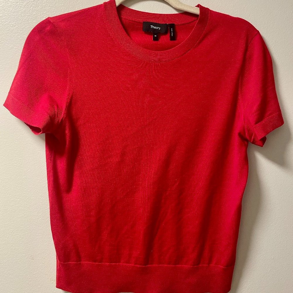 Merino Wool Red Theory Sweater Size Medium